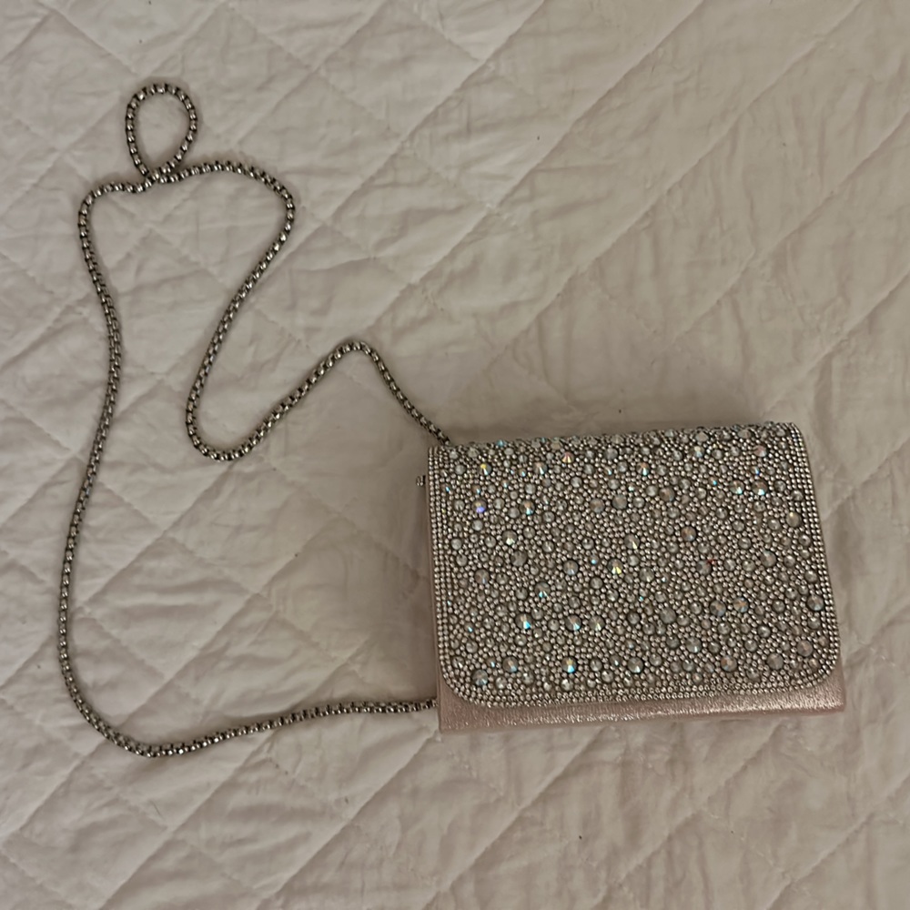 Rhinestone purse with chain from David’s bridal